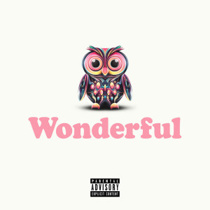 Wonderful