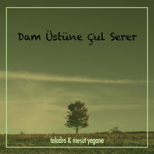 Dam Üstüne Çul Serer